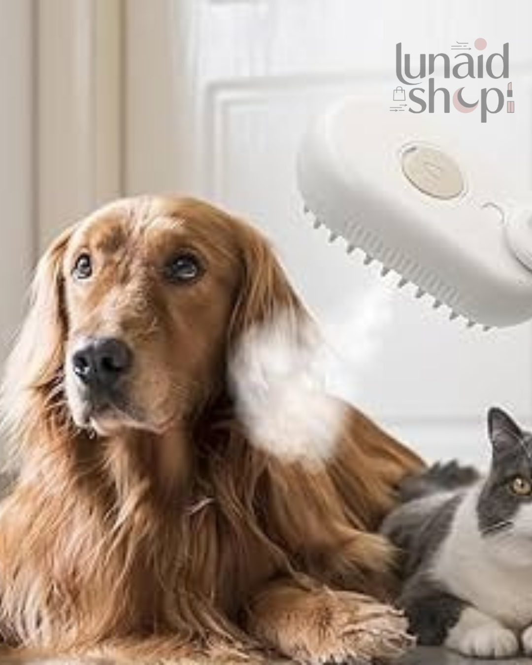 Cepillo de Vapor 3 en 1 para Mascotas